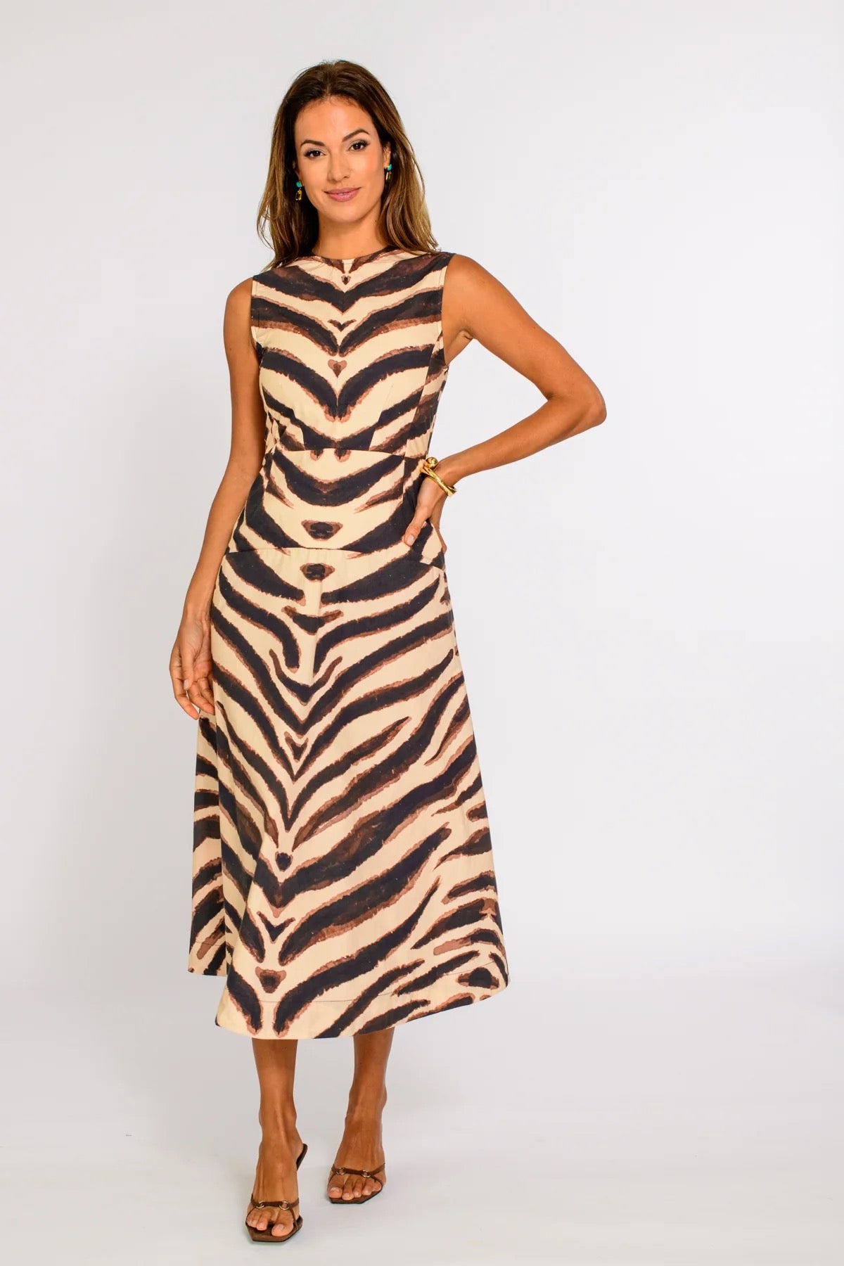 Zebra Claire Dress