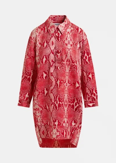 Illuminata Shirt Minidress