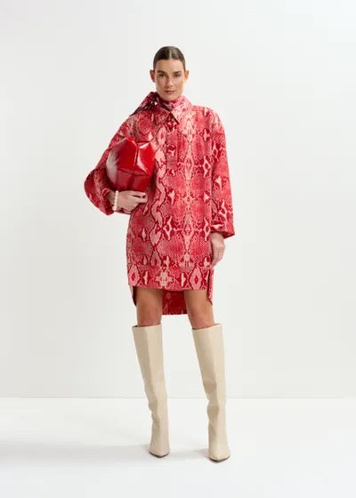 Illuminata Shirt Minidress