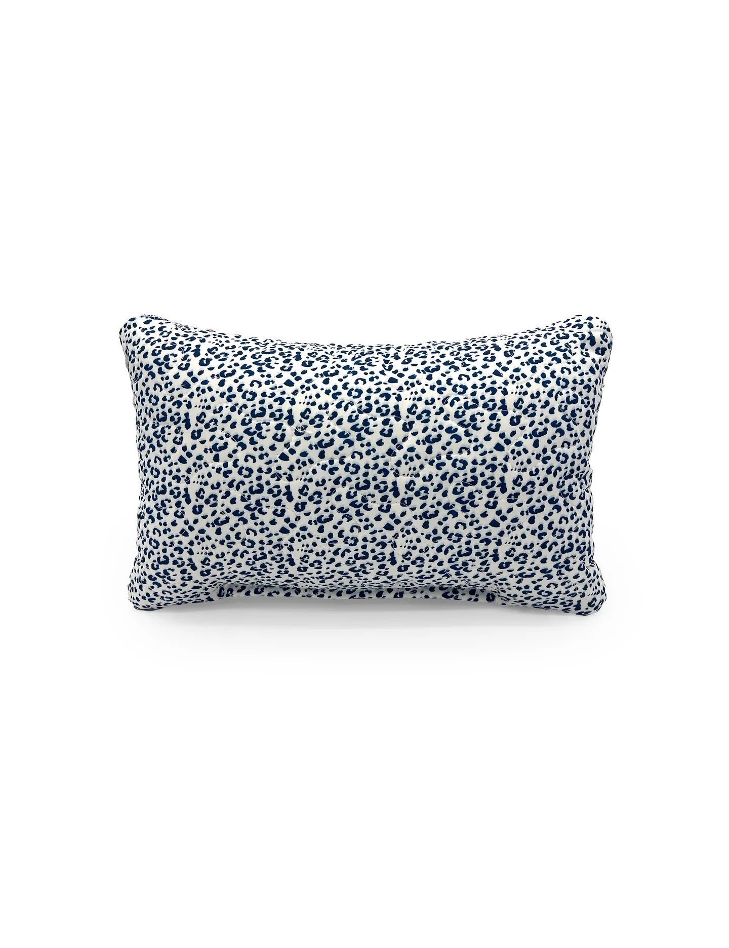 Control Freak Pillow