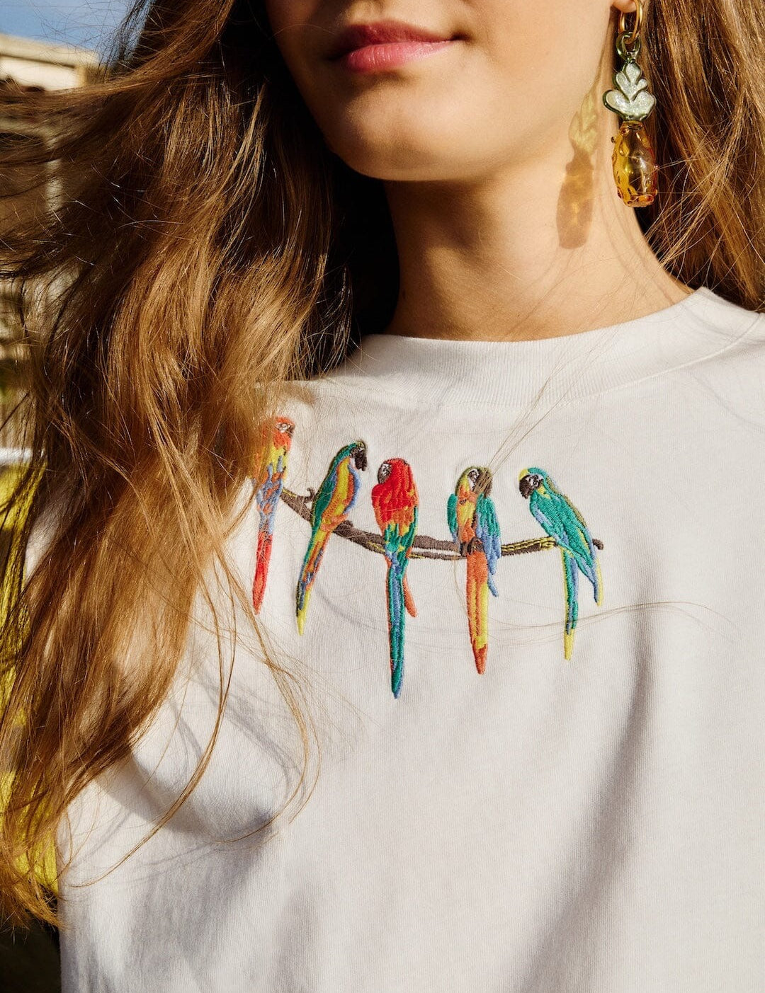Birds on Branch Top