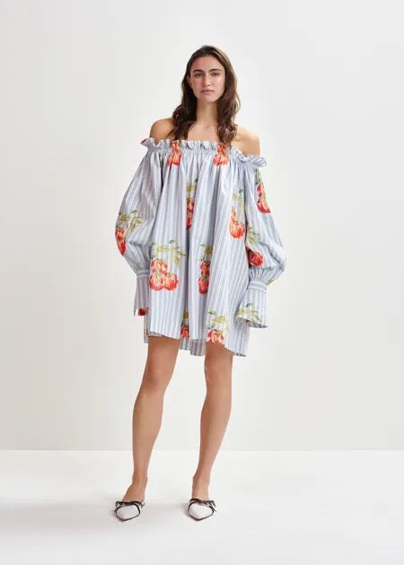 Ihassachusetts Striped Dress