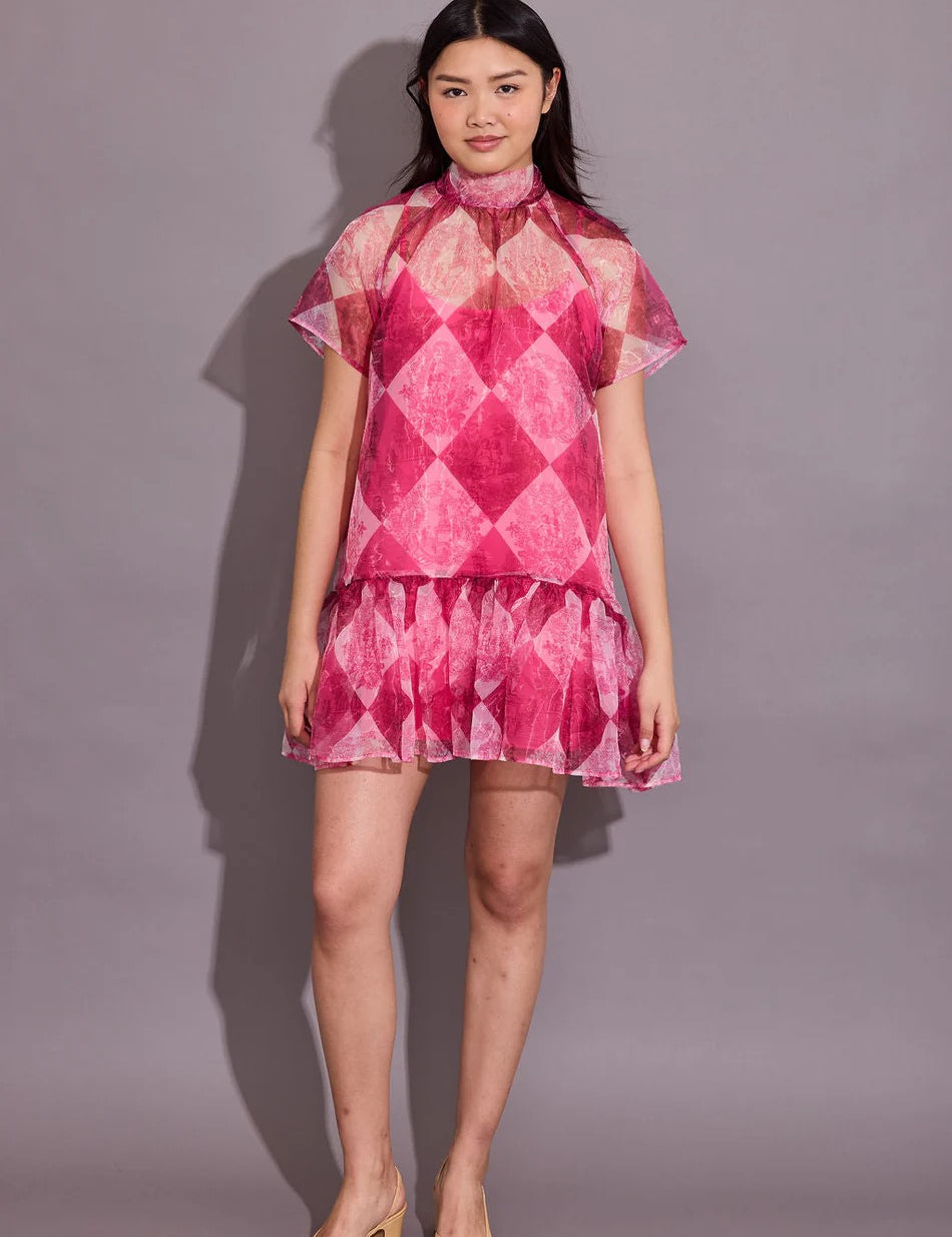 Willa Toile Dress