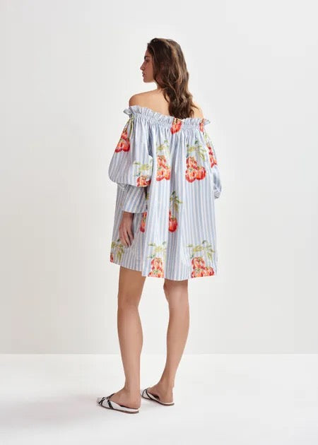 Ihassachusetts Striped Dress
